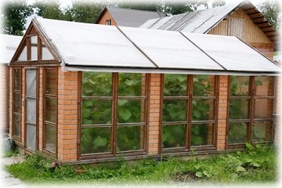 Як побудувати теплицю зі старих віконних рам і що для цього треба?