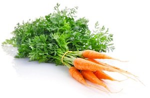 Морква: посадка і догляд у відкритому грунті