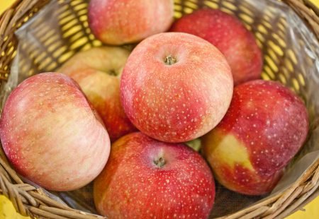 Лобо яблуня: опис сорту, фото