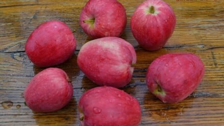 Яблуня Літній смугасте: опис сорту, фото, особливості догляду