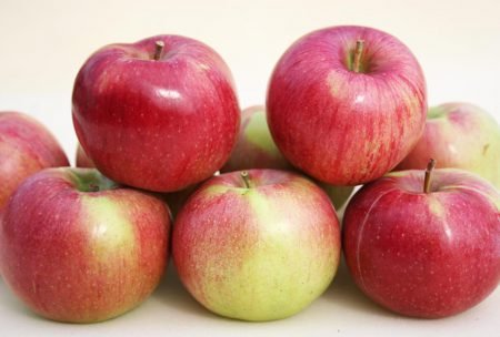 Яблуня Аніс: різновиди, опис видів