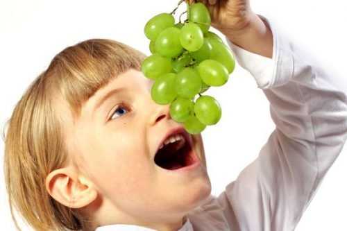 Користь і шкода винограду для організму людини