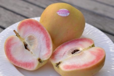Яблука Рожевий Перли: опис сорту, фото, смакові якості