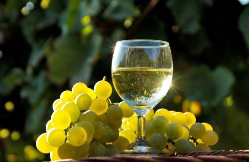 Виноград біанка: опис сорту