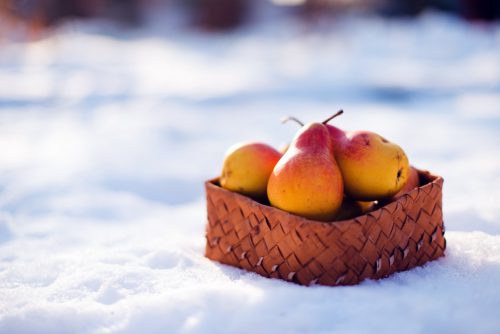 Зимові сорти груш: опис сортів, фото, особливості