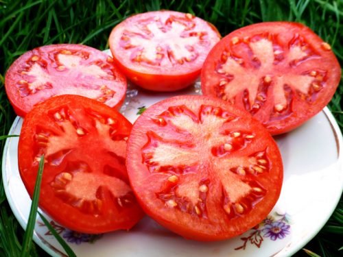 Томат білий налив характеристика та опис сорту помідорів