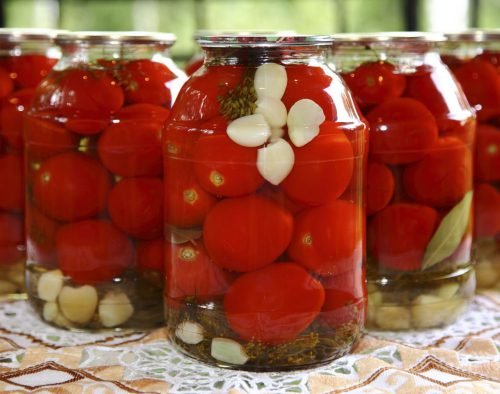 Сорти томатів: класифікація, різноманітність, характеристики видів помідорів