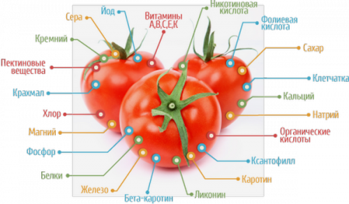 Вітаміни в помідорах: способи вживання томатів