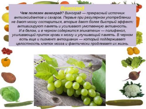 Сорт винограду великий білий: опис