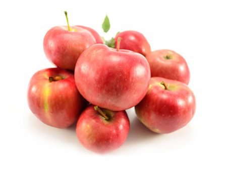 Пізні сорти яблук: фото з назвою, опис яблунь