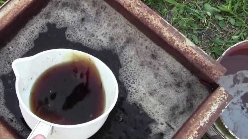 Добрива для винограду: коренева підгодівля, позакореневе, ознаки браку