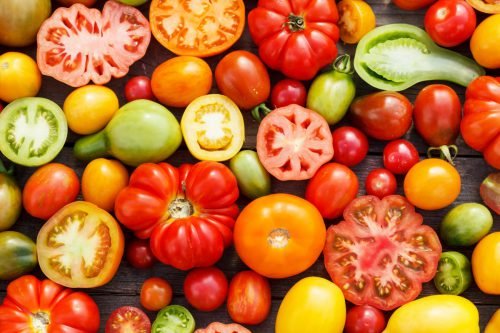Догляд за помідорами у відкритому грунті: висадка, підживлення та поливання томатів