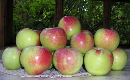 Коли садити яблуні восени в Підмосковї: сорти з описом і фото