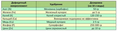 Чим підживити грушу восени: органічні та мінеральні компоненти