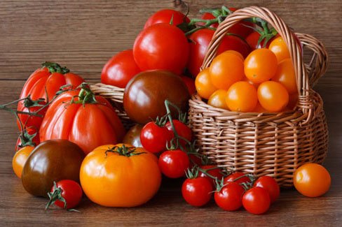 Томат пузата хата: опис сорту помідорів