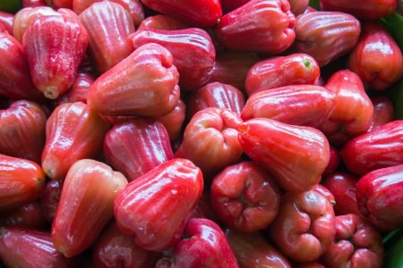 Яблуня Рожевий Налив: опис сорту, фото, смакові якості