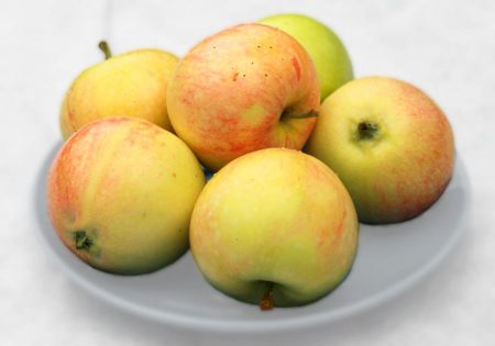 Кращі солодкі сорти яблунь: фото з назвою, особливості