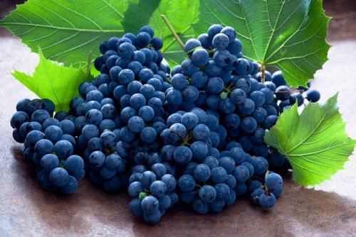 Вітаміни в чорному винограді: у чому користь, опис