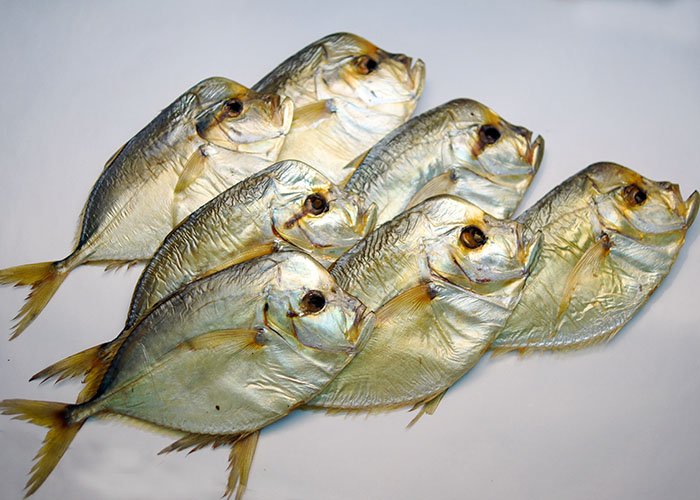 Букет з риби – новий чоловічий тренд вітальний