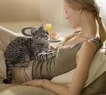 Гамавіт для кішок і кошенят: склад, інструкція по застосуванню, як колоти препарат, відгуки