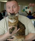 Сибірська кішка: характер, опис породи, відгуки власників