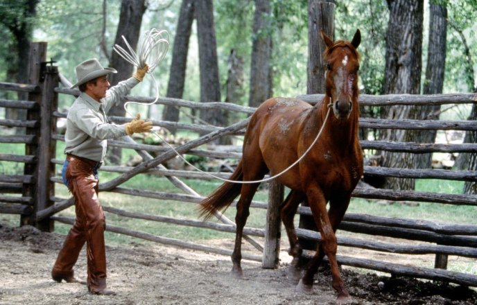 Коні в кіно: список кращих фільмів про коней для дітей і дорослих, фото