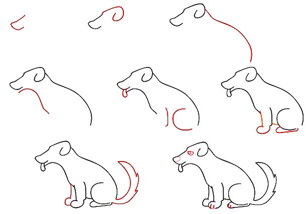 Как нарисовать сидящую собаку карандашом поэтапно Как нарисовать сидящую собаку карандашом поэтапно