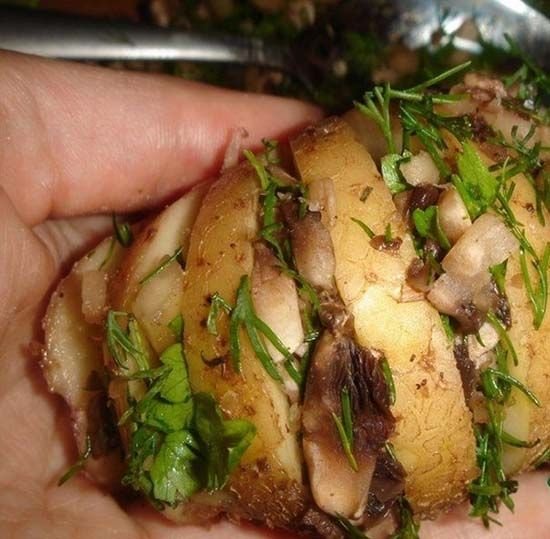 Картопля гармошка в духовці – рецепти з сиром, беконом, грибами, куркою