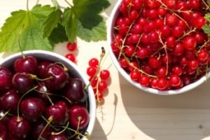 Компот з вишні: 5 рецептів вишневого компоту