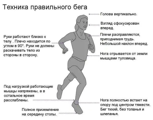 Про допомогу бігу в схудненні: як правильно бігати, щоб схуднути в животі