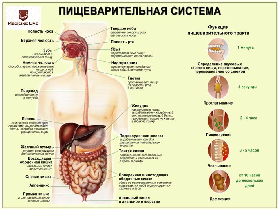 Про причини прищів між бровами у жінок: чому зявляються на перенісся, чоло