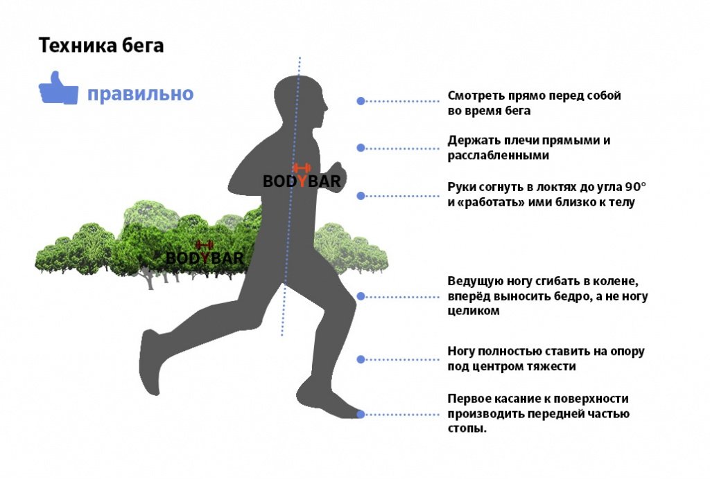Про програму бігу для схуднення: біг по ранках для схуднення для початківців