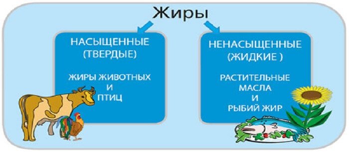 Про види корисних і шкідливих жирів для організму людини: жири тверді і рідкі