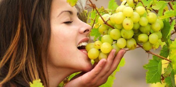Про виноград при схудненні: можна чи ні їсти на ніч і ввечері коли худнеш