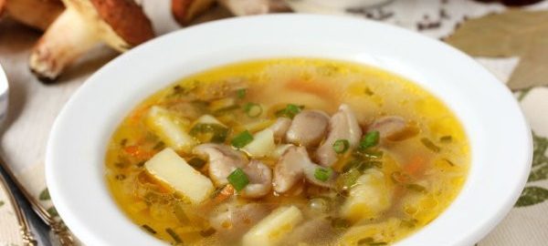 Суп з маслюками. Простий рецепт грибного супу!