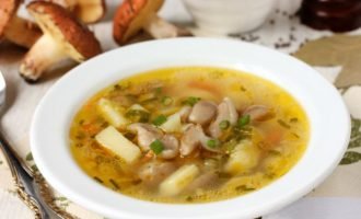 Суп з маслюками. Простий рецепт грибного супу!