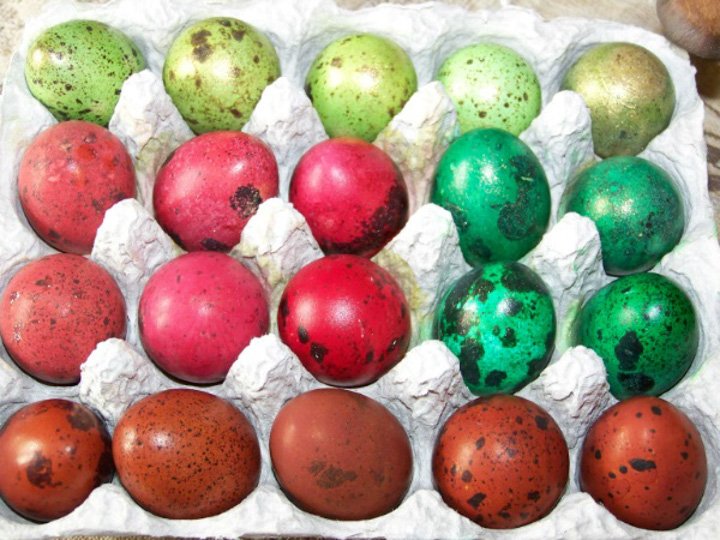 Тонкощі фарбування перепелиних яєць на Великдень