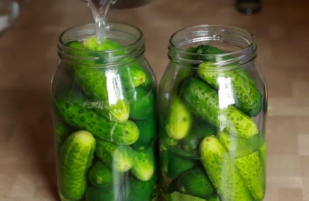 Огірки консервовані на зиму — рецепти хрумких огірків в банках на 1 літр