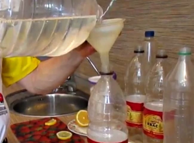 Квас з березового соку в домашніх умовах: рецепти довгого зберігання