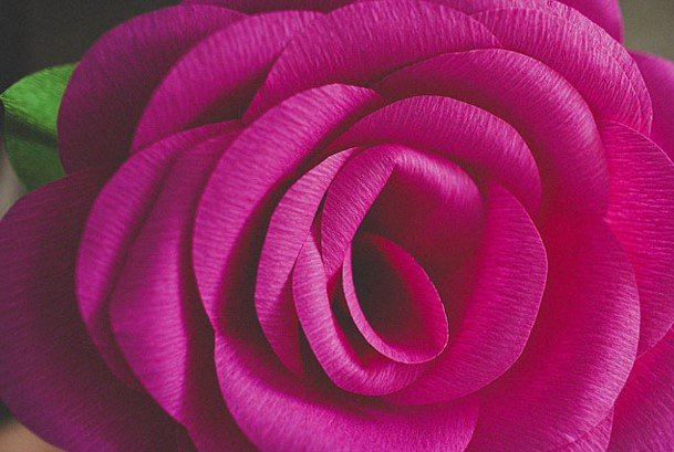 3 способи зробити найбільші троянди з паперу