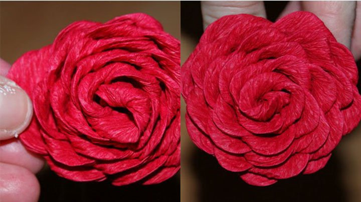 Троянди з гофрованого паперу — найпростіші способи зробити квіти