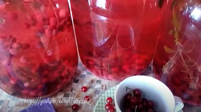Компот із червоної смородини на зиму – прості рецепти